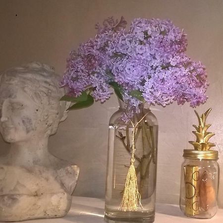 Le Clos Manceau Bed & Breakfast Le Mans Luaran gambar