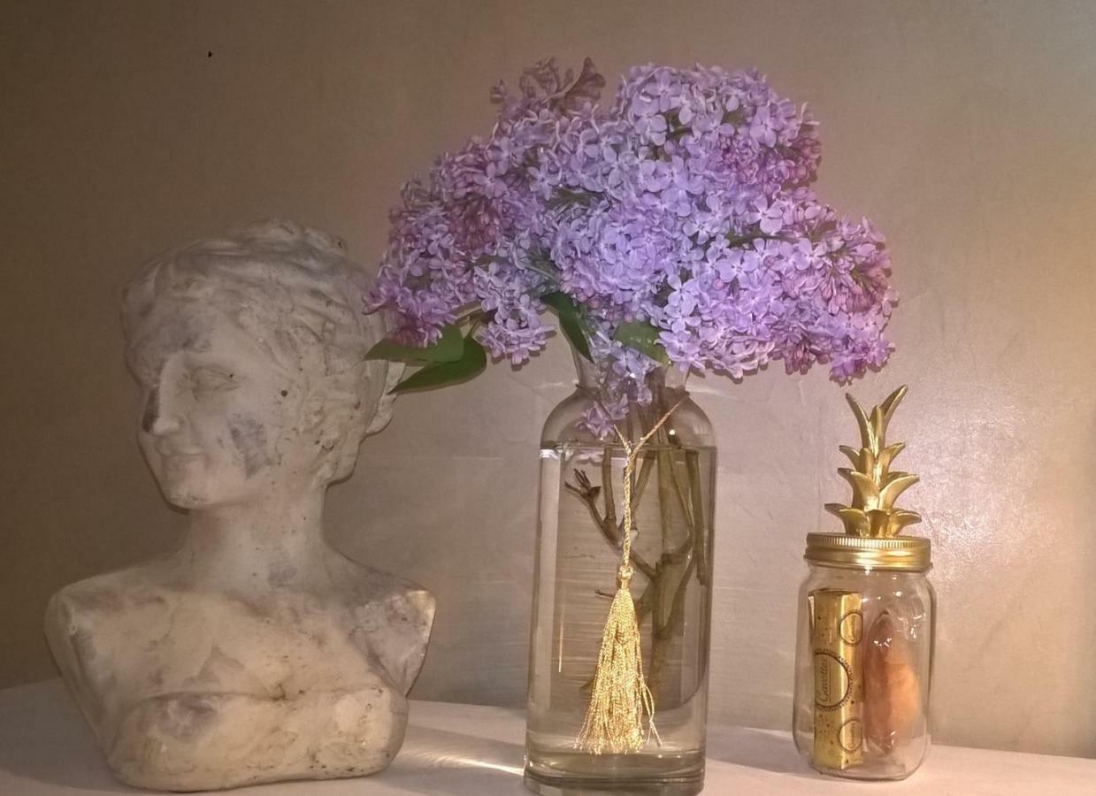 Le Clos Manceau Bed & Breakfast Le Mans Luaran gambar